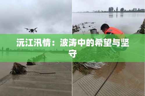 沅江汛情:波涛中的希望与坚守