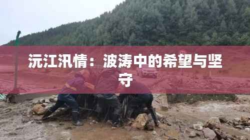 沅江汛情:波涛中的希望与坚守