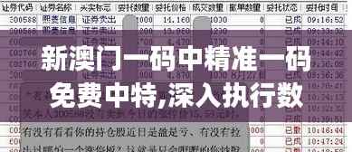 新澳门一码中精准一码免费中特,深入执行数据策略_挑战款6.257