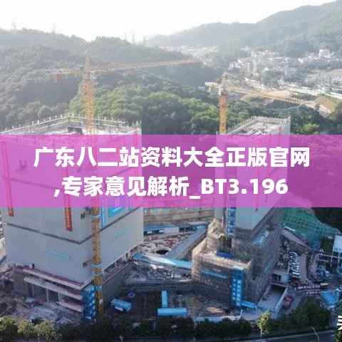 广东八二站资料大全正版官网,专家意见解析_BT3.196