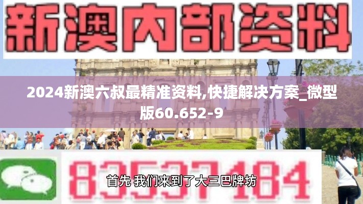 2024新澳六叔最精准资料,快捷解决方案_微型版60.652-9
