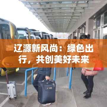 辽源新风尚：绿色出行，共创美好未来