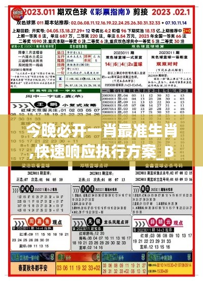 今晚必开一肖最准生肖,快速响应执行方案_BT194.975-1