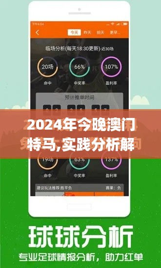 2024年今晚澳门特马,实践分析解释定义_创意版20.175-1