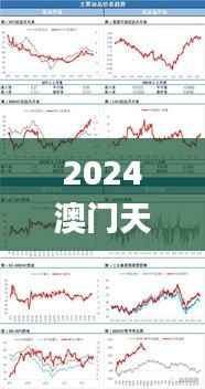 2024澳门天天彩资料大全,精细化策略探讨_投资版93.797-9