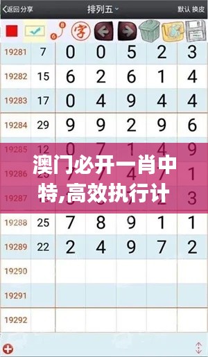 澳门必开一肖中特,高效执行计划设计_WP97.743-1