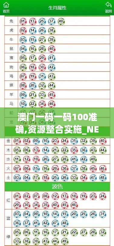 澳门一码一码100准确,资源整合实施_NE版6.921-7