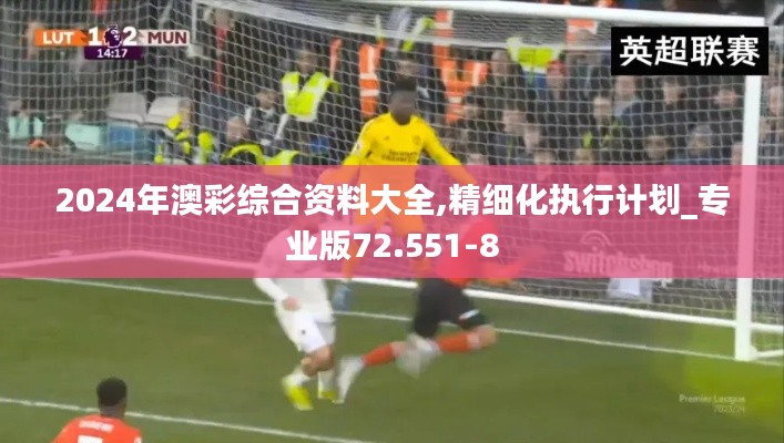 2024年澳彩综合资料大全,精细化执行计划_专业版72.551-8