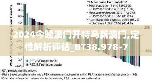 2024今晚澳门开特马新澳门,定性解析评估_BT38.978-7