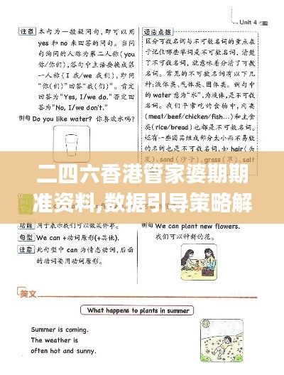 二四六香港管家婆期期准资料,数据引导策略解析_特供版66.570-7