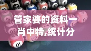 管家婆的资料一肖中特,统计分析解释定义_至尊版76.607-5