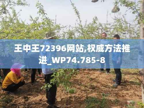 王中王72396网站,权威方法推进_WP74.785-8