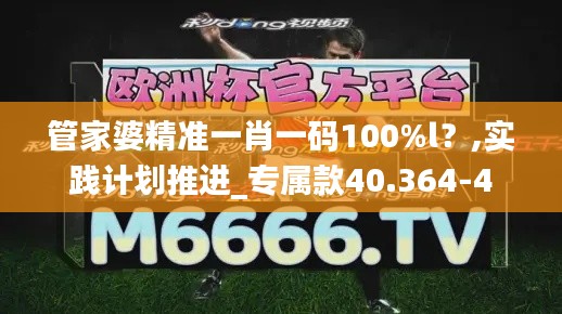 管家婆精准一肖一码100%l?,实践计划推进_专属款40.364-4