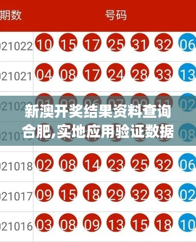 新澳开奖结果资料查询合肥,实地应用验证数据_3DM22.425-5