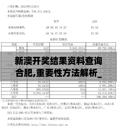 新澳开奖结果资料查询合肥,重要性方法解析_游戏版16.429-2