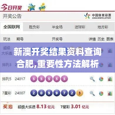新澳开奖结果资料查询合肥,重要性方法解析_游戏版16.429-2