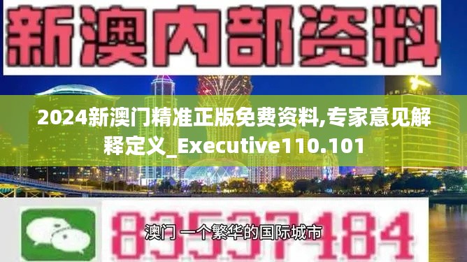2024新澳门精准正版免费资料,专家意见解释定义_Executive110.101