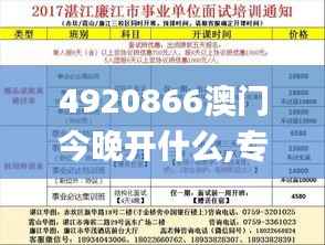 4920866澳门今晚开什么,专业分析说明_3K3.474