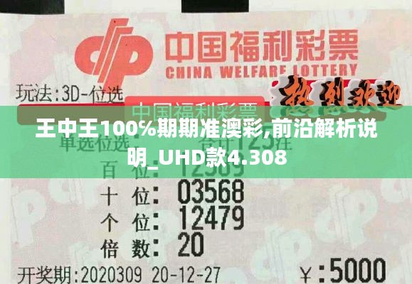 王中王100℅期期准澳彩,前沿解析说明_UHD款4.308