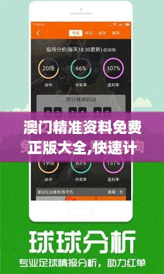 澳门精准资料免费正版大全,快速计划设计解答_6DM30.433-8