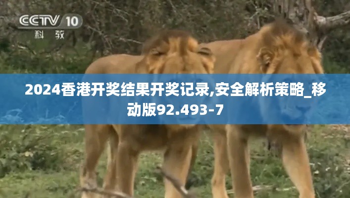2024香港开奖结果开奖记录,安全解析策略_移动版92.493-7