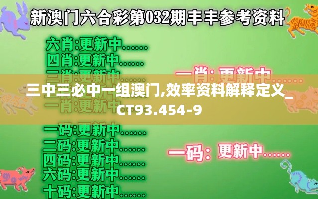 三中三必中一组澳门,效率资料解释定义_CT93.454-9