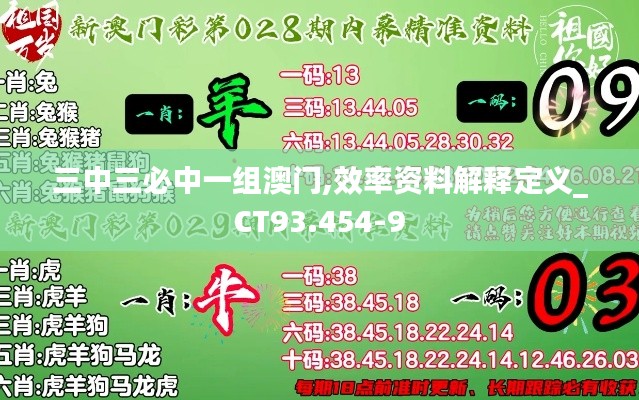 三中三必中一组澳门,效率资料解释定义_CT93.454-9
