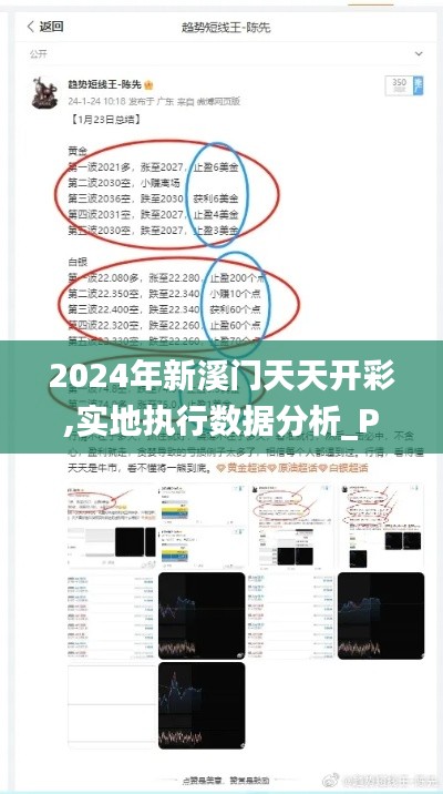 2024年新溪门天天开彩,实地执行数据分析_P版90.924-1