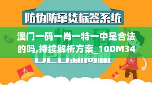 澳门一码一肖一特一中是合法的吗,持续解析方案_10DM34.258-2