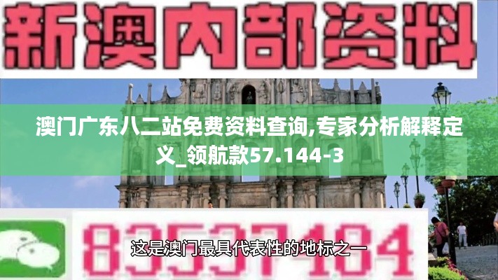 澳门广东八二站免费资料查询,专家分析解释定义_领航款57.144-3