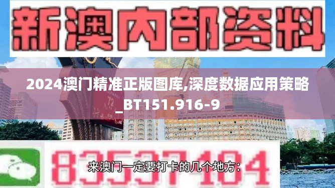 2024澳门精准正版图库,深度数据应用策略_BT151.916-9