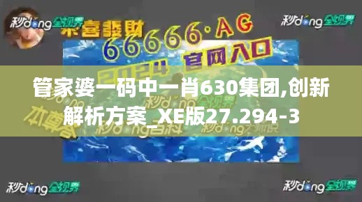 管家婆一码中一肖630集团,创新解析方案_XE版27.294-3
