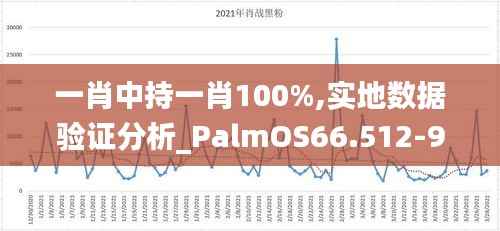 一肖中持一肖100%,实地数据验证分析_PalmOS66.512-9