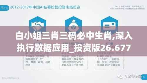 白小姐三肖三码必中生肖,深入执行数据应用_投资版26.677-4
