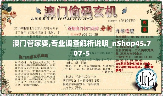澳门管家婆,专业调查解析说明_nShop45.707-5