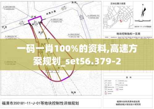 一码一肖100%的资料,高速方案规划_set56.379-2