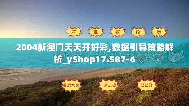 2004新澳门天天开好彩,数据引导策略解析_yShop17.587-6