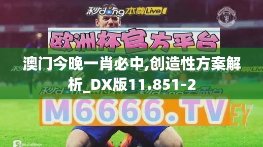 澳门今晚一肖必中,创造性方案解析_DX版11.851-2
