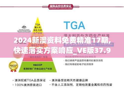 2024新澳资料免费精准17期,快速落实方案响应_VE版37.979-3