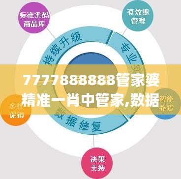 7777888888管家婆精准一肖中管家,数据整合执行策略_精英款64.159-6