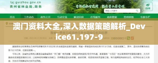 澳门资料大全,深入数据策略解析_Device61.197-9