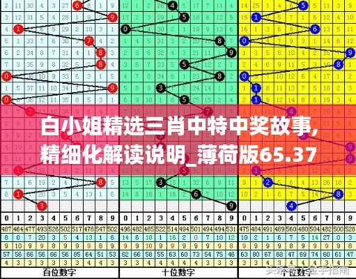 白小姐精选三肖中特中奖故事,精细化解读说明_薄荷版65.378-9