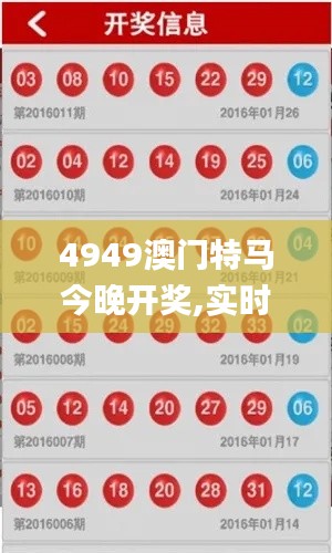 4949澳门特马今晚开奖,实时更新解释定义_VE版18.445-9