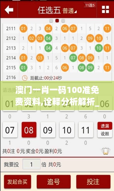 澳门一肖一码100准免费资料,诠释分析解析_Elite15.562-1