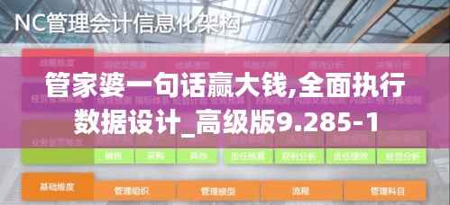 管家婆一句话赢大钱,全面执行数据设计_高级版9.285-1