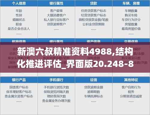 新澳六叔精准资料4988,结构化推进评估_界面版20.248-8