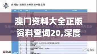 澳门资料大全正版资料查询20,深度调查解析说明_试用版45.513-3