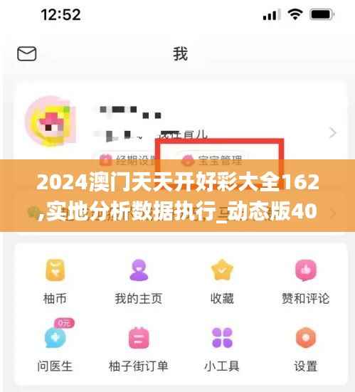 2024澳门天天开好彩大全162,实地分析数据执行_动态版40.589-9