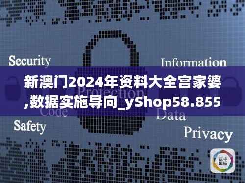 新澳门2024年资料大全宫家婆,数据实施导向_yShop58.855-3