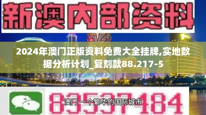 2024年澳门正版资料免费大全挂牌,实地数据分析计划_复刻款88.217-5